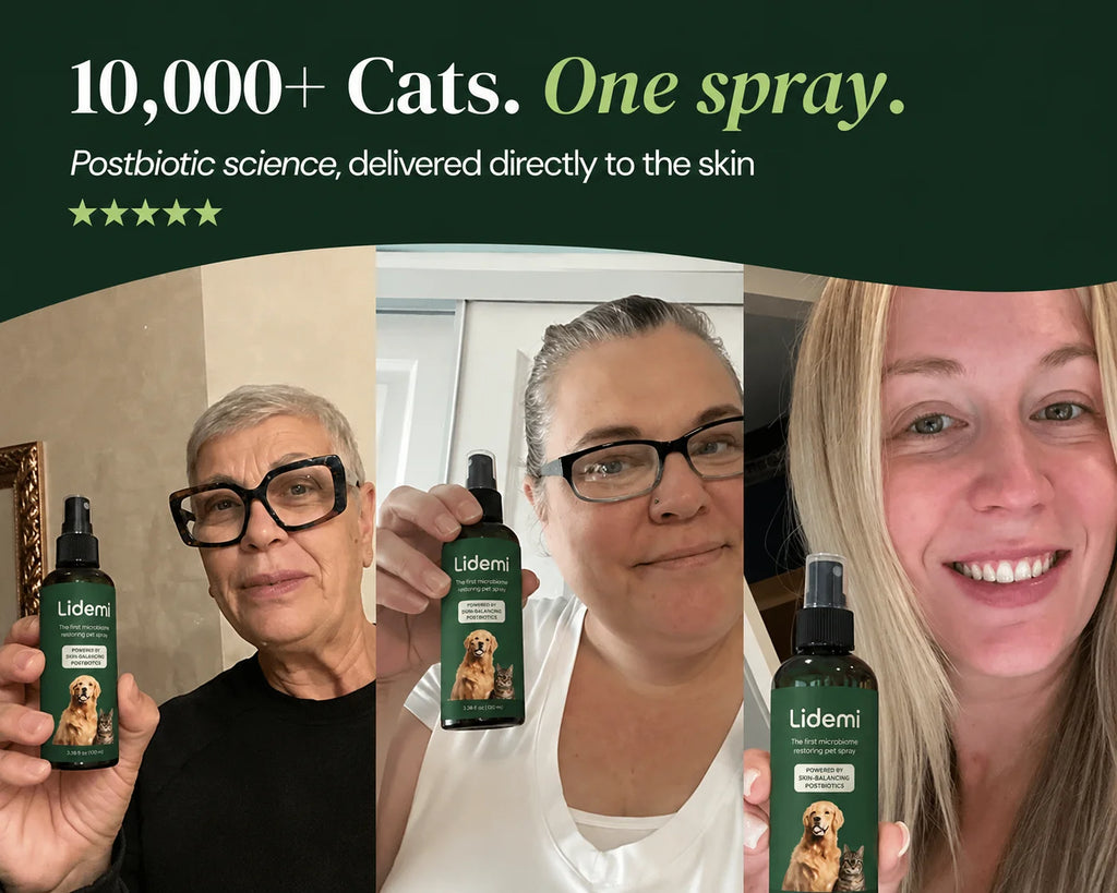 Lidemi Skin Restore Protocol for Cats
