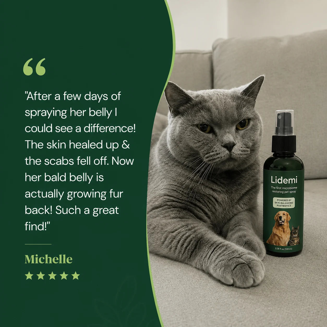 Lidemi Skin Restore Protocol for Cats